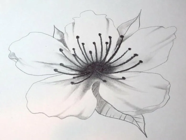 Намальований квітка 