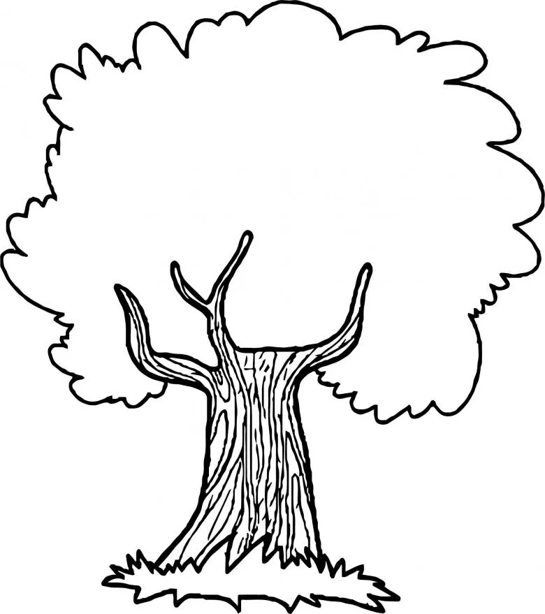 Намальоване дерево олівцем 