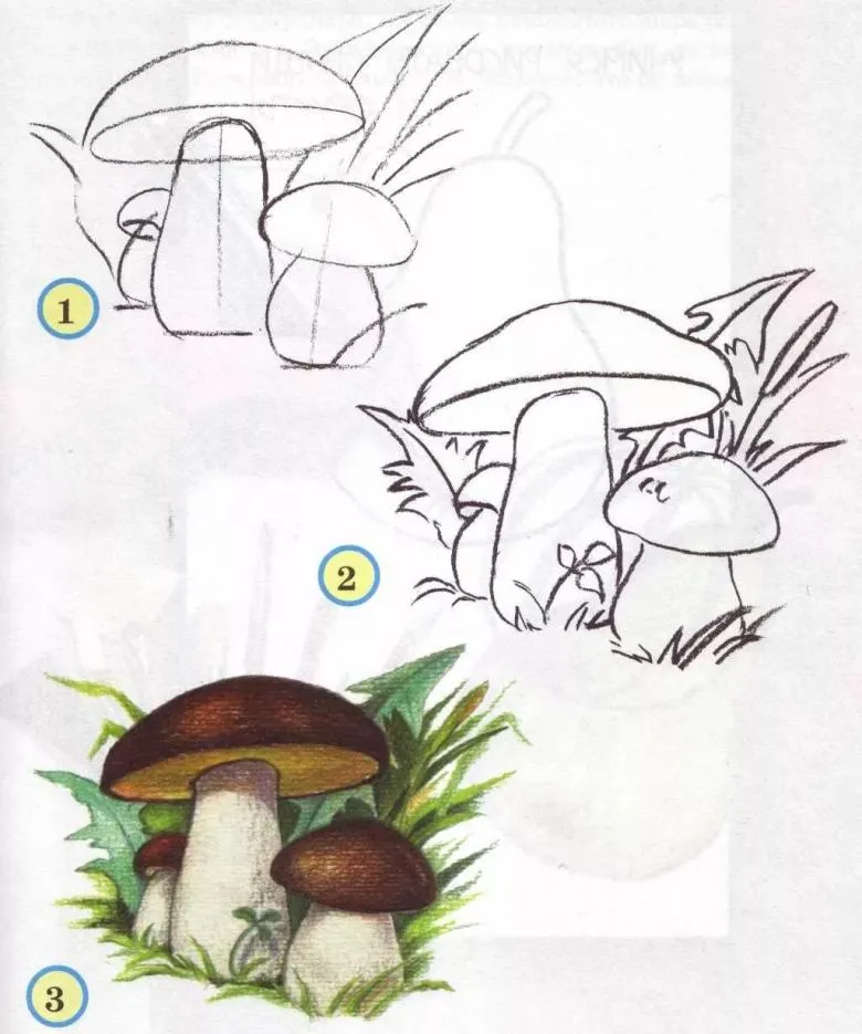Намальований гриб 