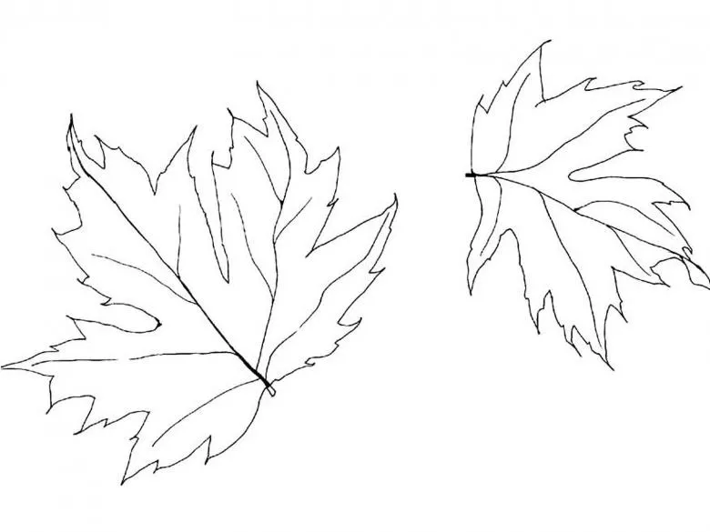 Намальований кленовий лист 