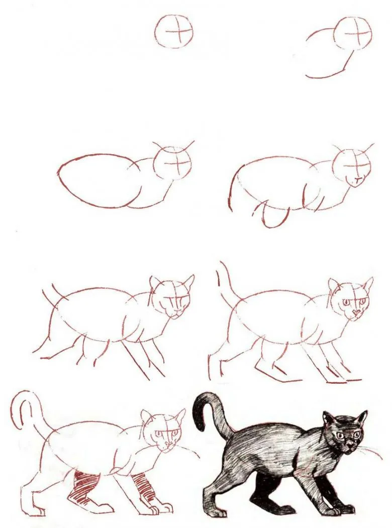 Намальована кішка 