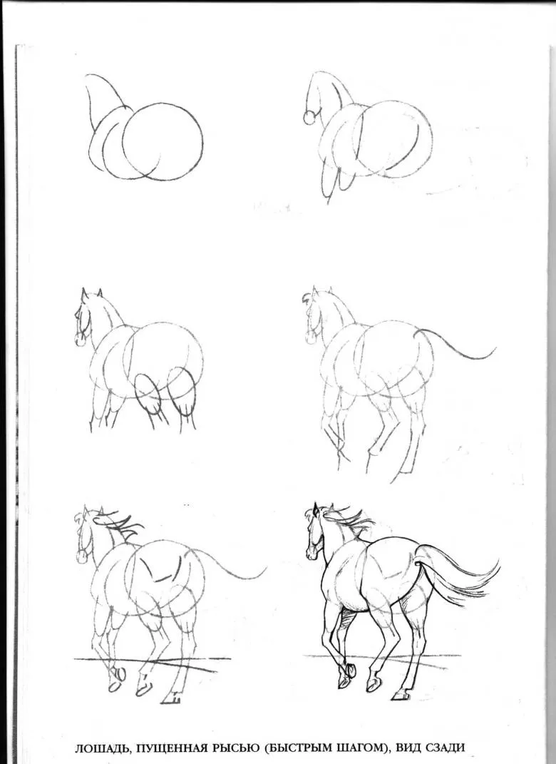 Намальована кінь 