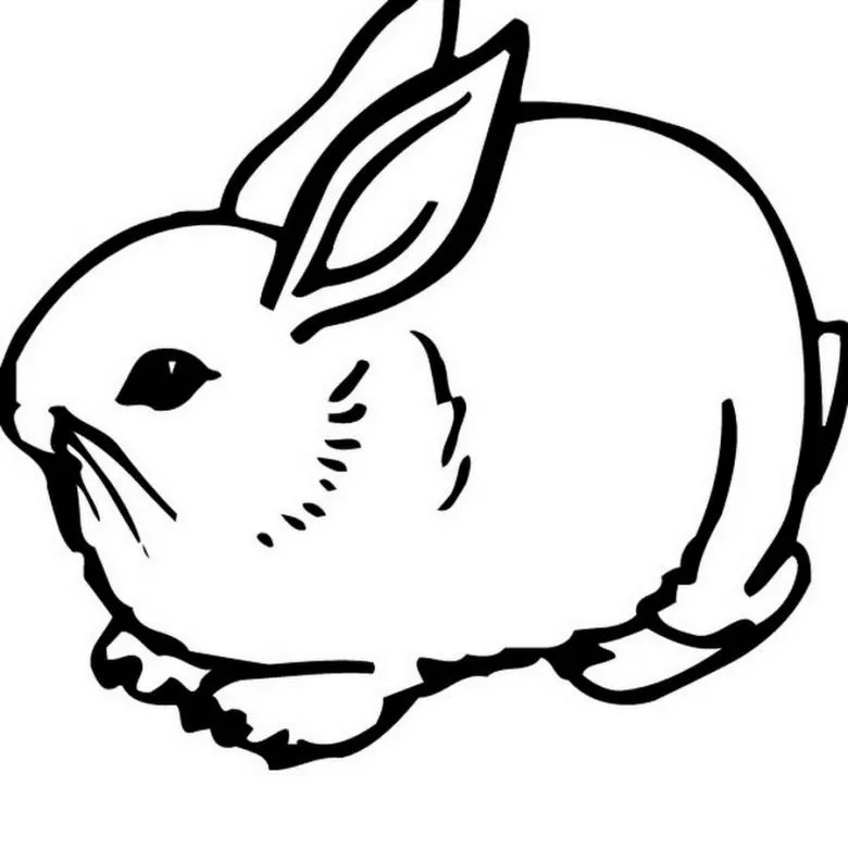 Намальований кролик 