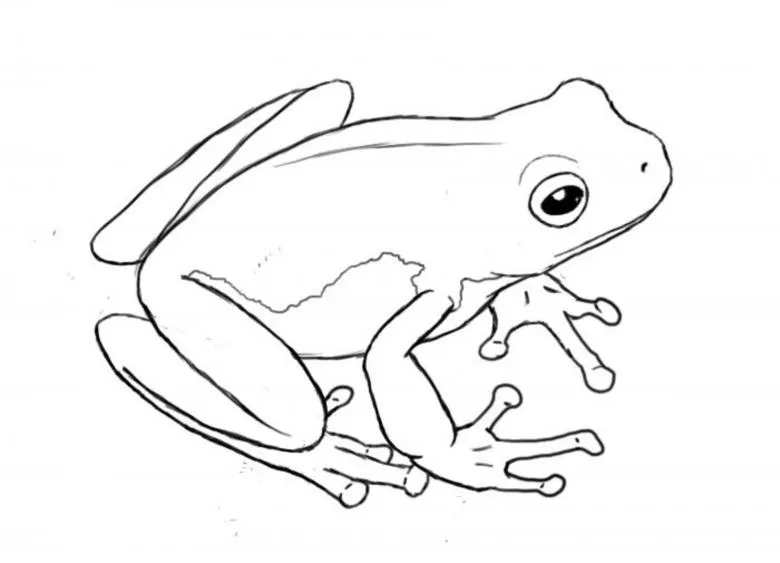Намальована жаба 