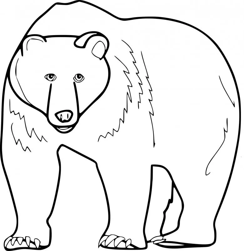 Як намалювати ведмедя поетапно олівцем - легкі майстер-класи для початківців (56 фото) i