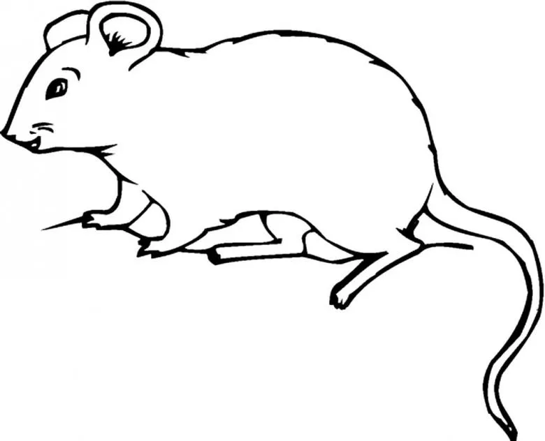 Намальована миша 