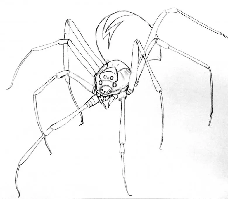Намальований павук 