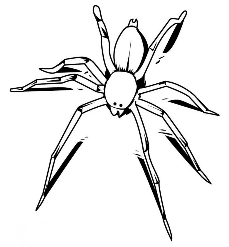 Як намалювати павука поетапно олівцем - добірка легких майстер-класів для початківців i