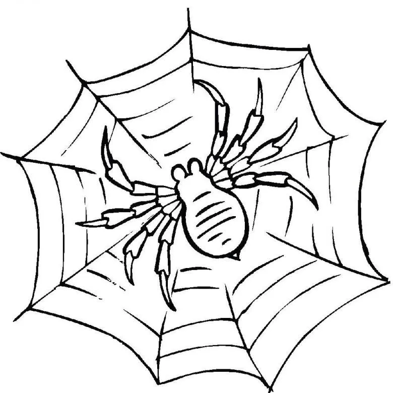 Намальована павутина 