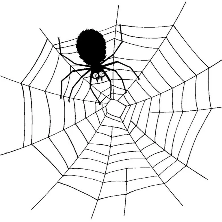 Намальована павутина 