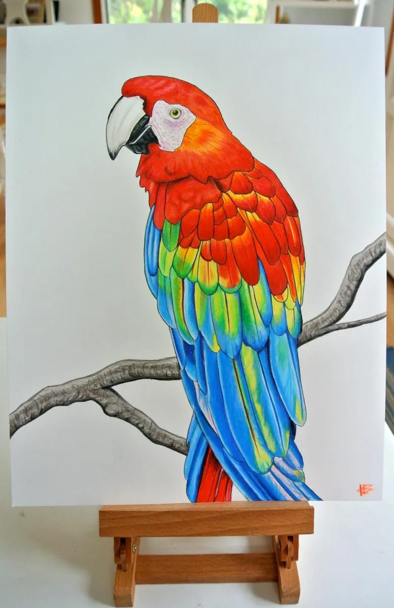 Намальований папуга 