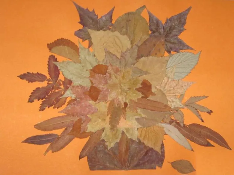 Аплікація з листя і кольорового паперу 