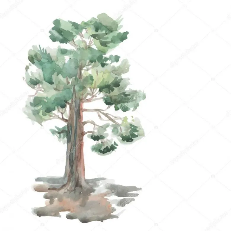 Намальоване дерево 