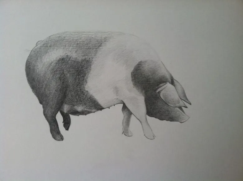 Намальована свиня 