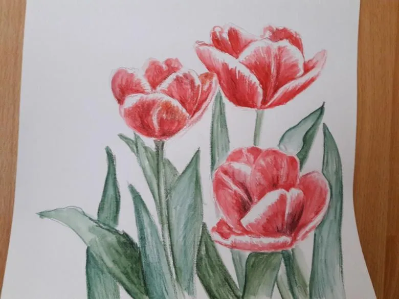 Намальований тюльпан 