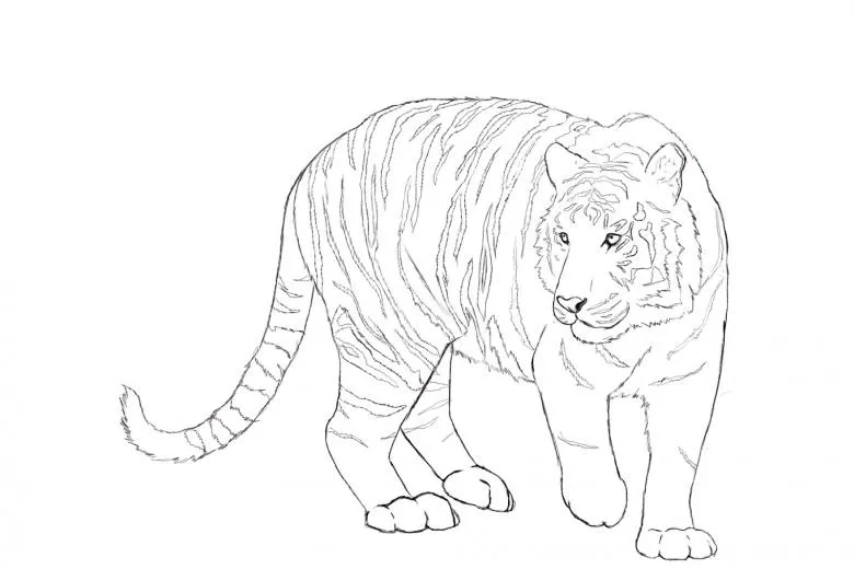 Намальований тигр 