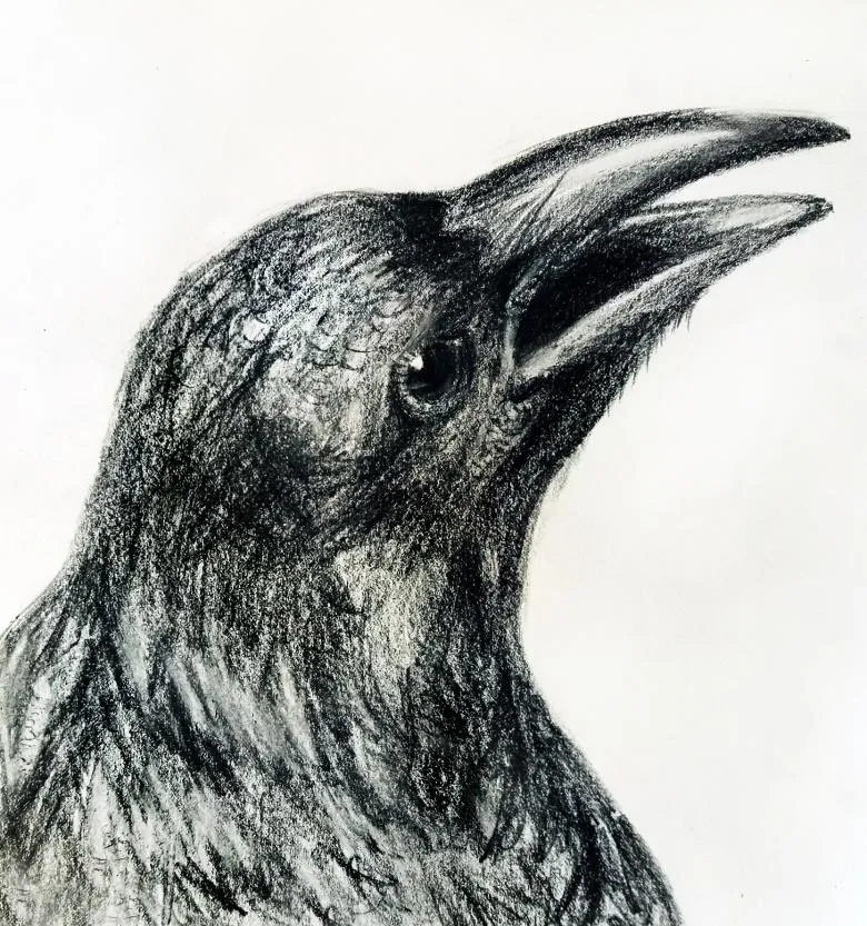 Намальована ворона 