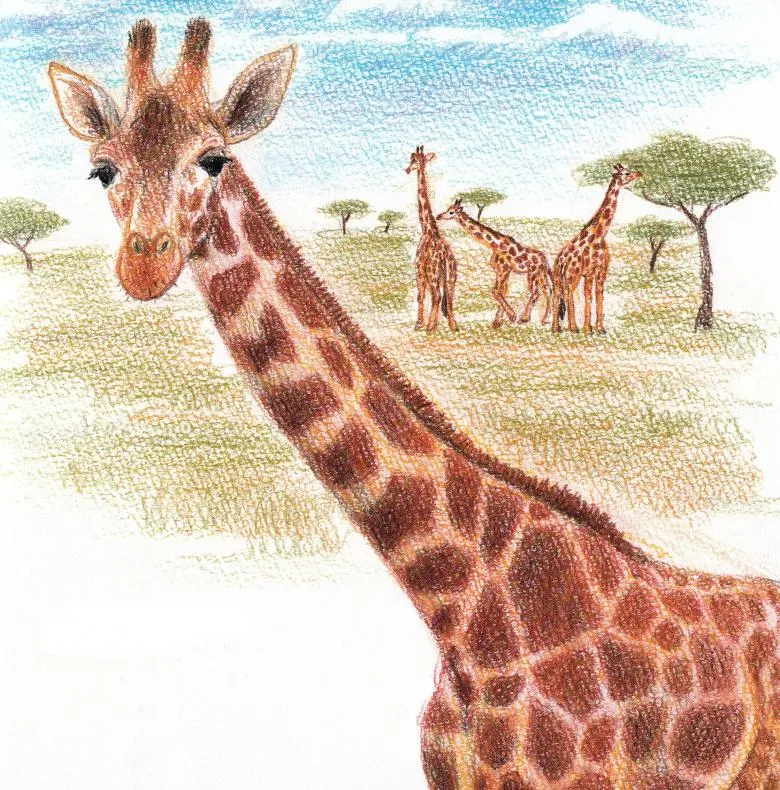 Намальований жираф 