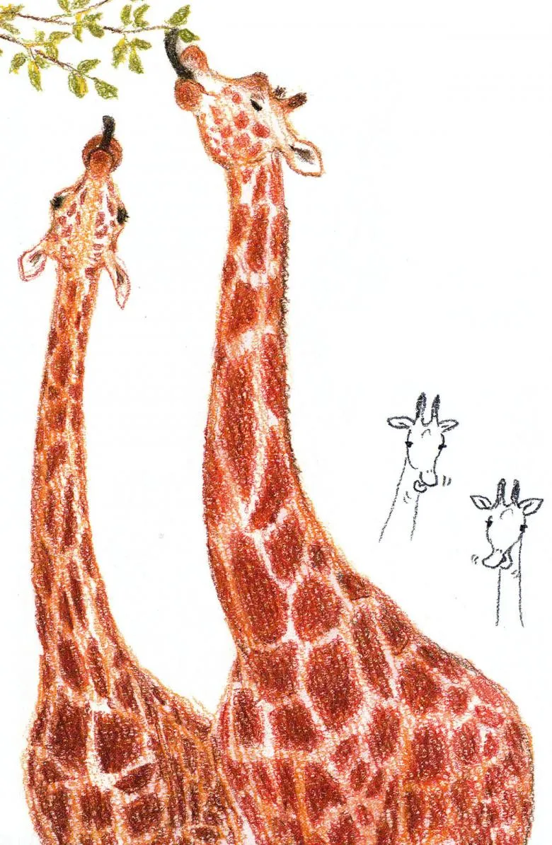 Намальований жираф 