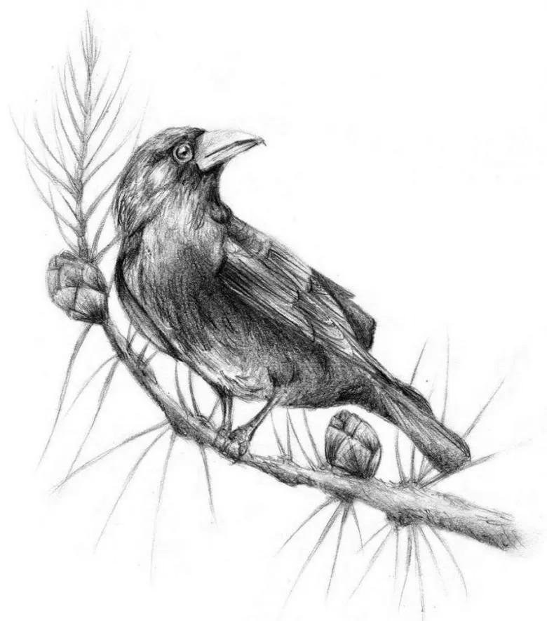 Намальована ворона 