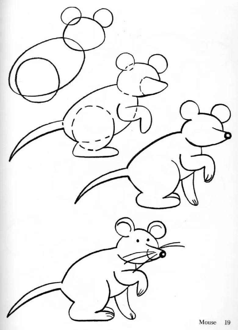 миша 