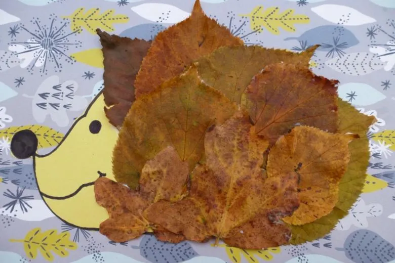 Аплікація їжачка з листя і кольорового паперу 