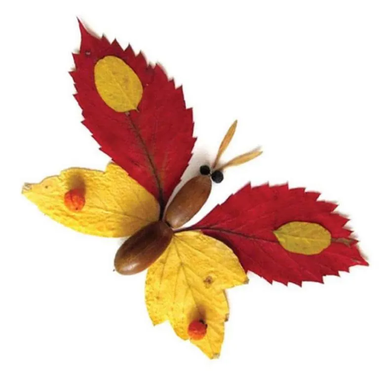 Аплікація метелики з листя і кольорового паперу 